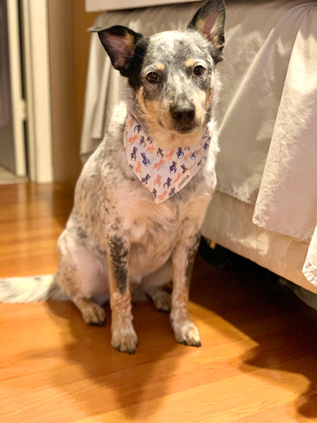 The Paws "Spread Peace" Bandana