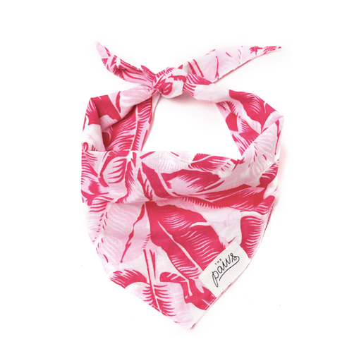 The Paws "Tropical Pink" Bandana