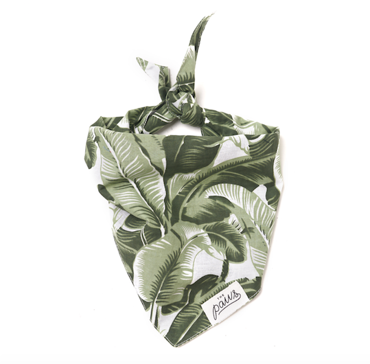 The Paws "Into the Wild" Bandana