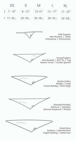 The Paws "Penny" Bandana