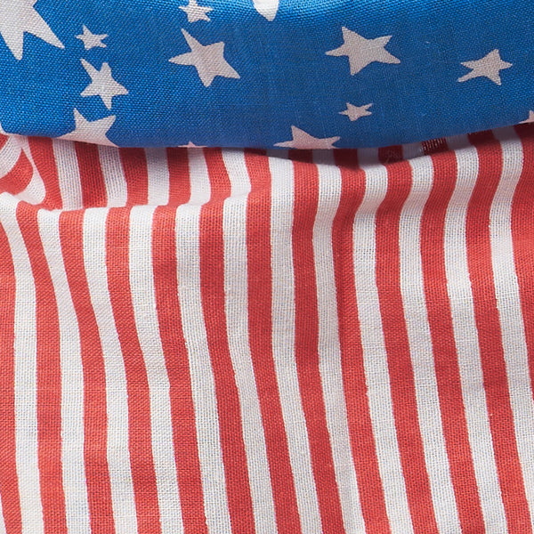 The Paws "Star Spangled" Bandana