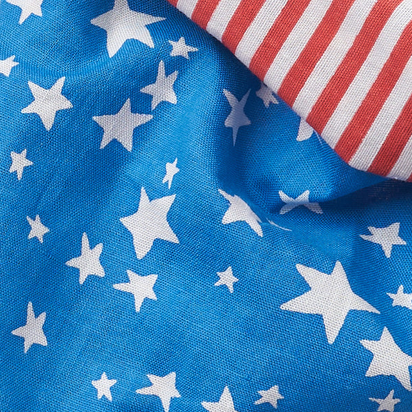 The Paws "Star Spangled" Bandana