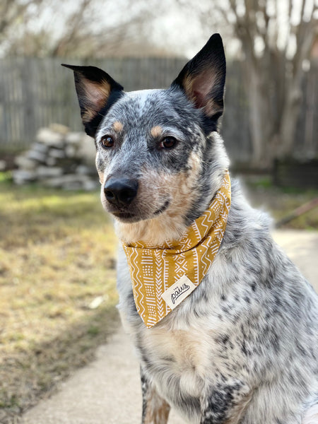 The Paws "Bogolan" Bandana