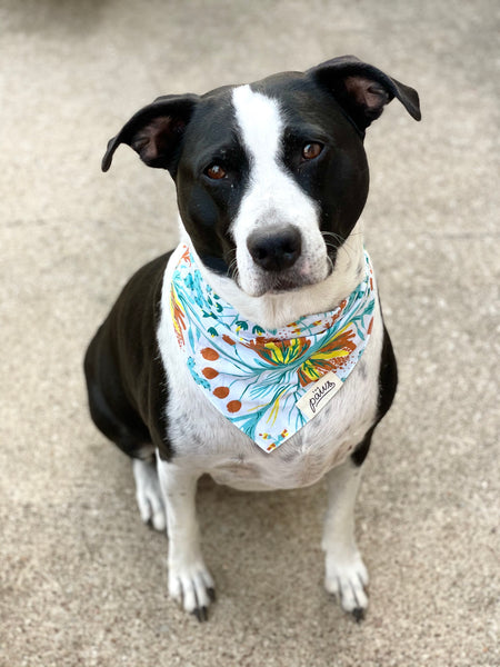The Paws "Ocean Garden" Bandana