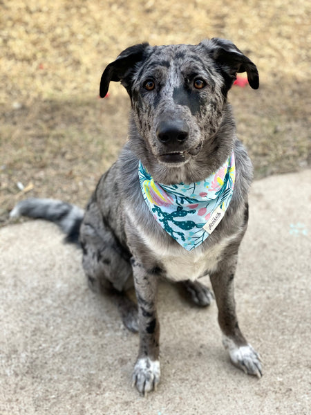 The Paws "Underwater Jungle" Bandana