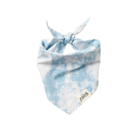 The Paws "Blueberry Crush" Bandana