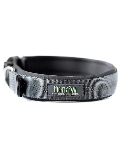 Mighty Paw Padded Collar