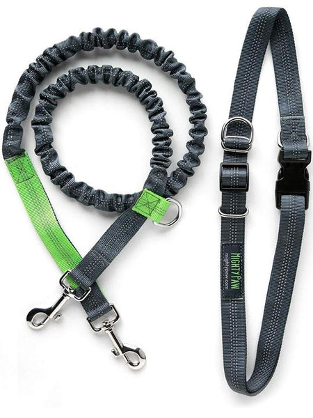 Mighty Paw Hands Free Bungee Leash